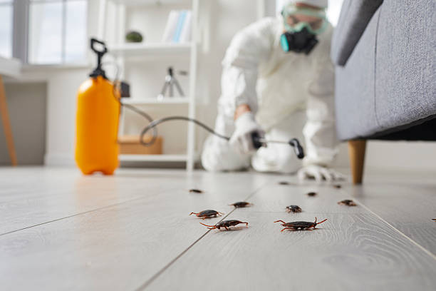 Commercial Kitchen Cockroach Control in Evans